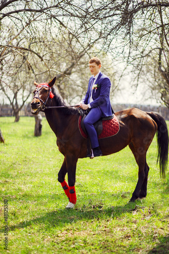 Portrait of the groom on a horse in the spring, apple orchard