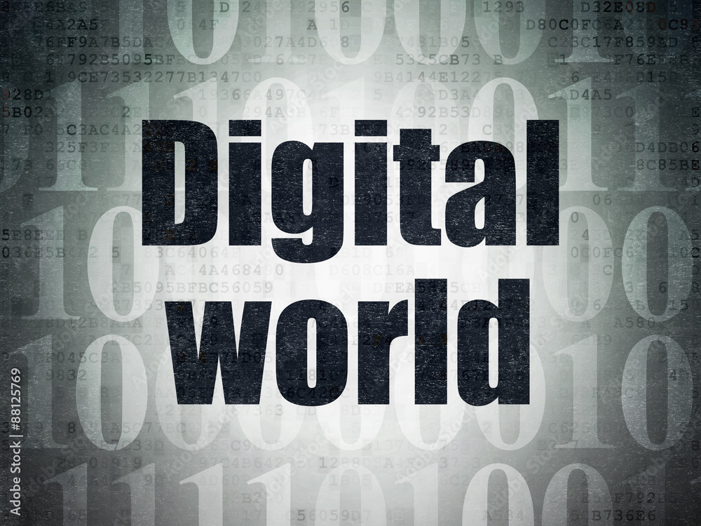 Information concept: Digital World on Digital Paper background