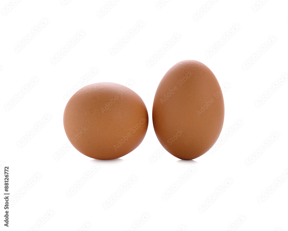 two eggs isolated on white background two eggs isolated on white background
