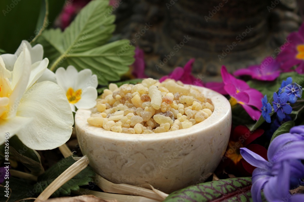 Yellow Frank Incense drops (olibanum gummi from Ethiopia) in a stone bowl  ritual offering to the god buddha with different spring flowers and leaves  (primrose, daffodil, blood sorrel, ) Stock Photo