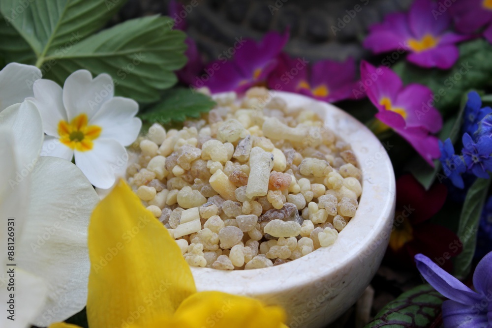 Yellow Frank Incense drops (olibanum gummi from Ethiopia) in a stone bowl  ritual offering to the god buddha with different spring flowers and leaves  (primrose, daffodil, blood sorrel, ) Stock Photo