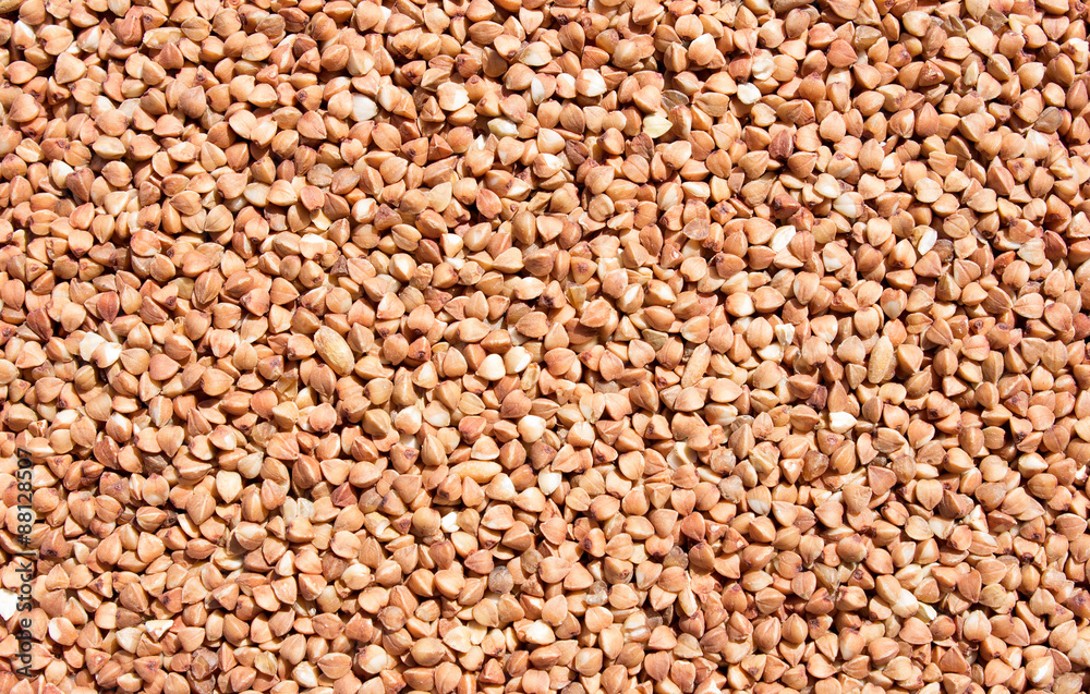 Buckwheat texture Buckwheat texture