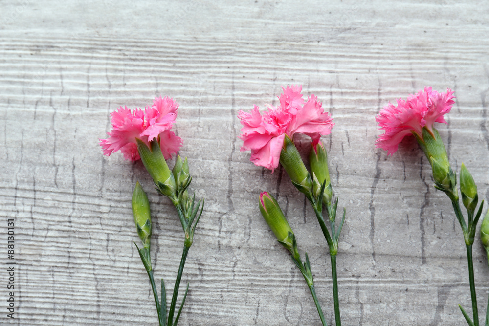 Beautiful small wild flowers on wooden background