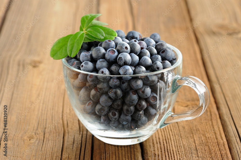 Glass teacup full of fresh wild blueberries with green spring on Glass teacup full of fresh wild blueberries with green spring on