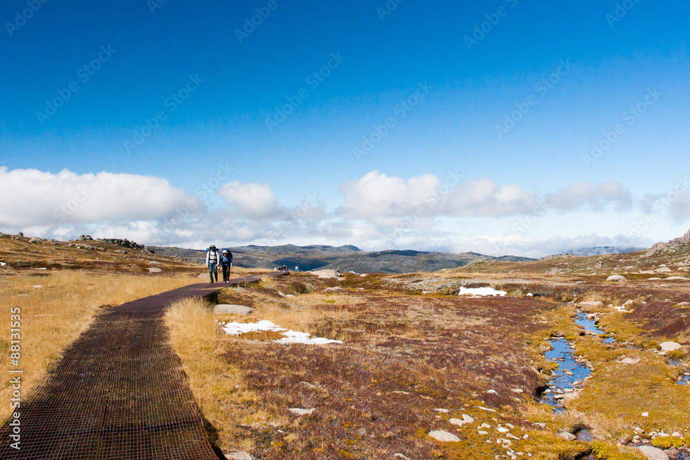 Obraz premium Kosciuszko Walk at Thredo Summit