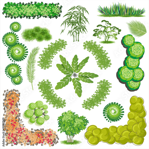Trees and bush item top view for landscape design, vector icon.