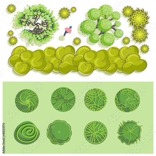 Trees and bush item top view for landscape design, vector icon.
