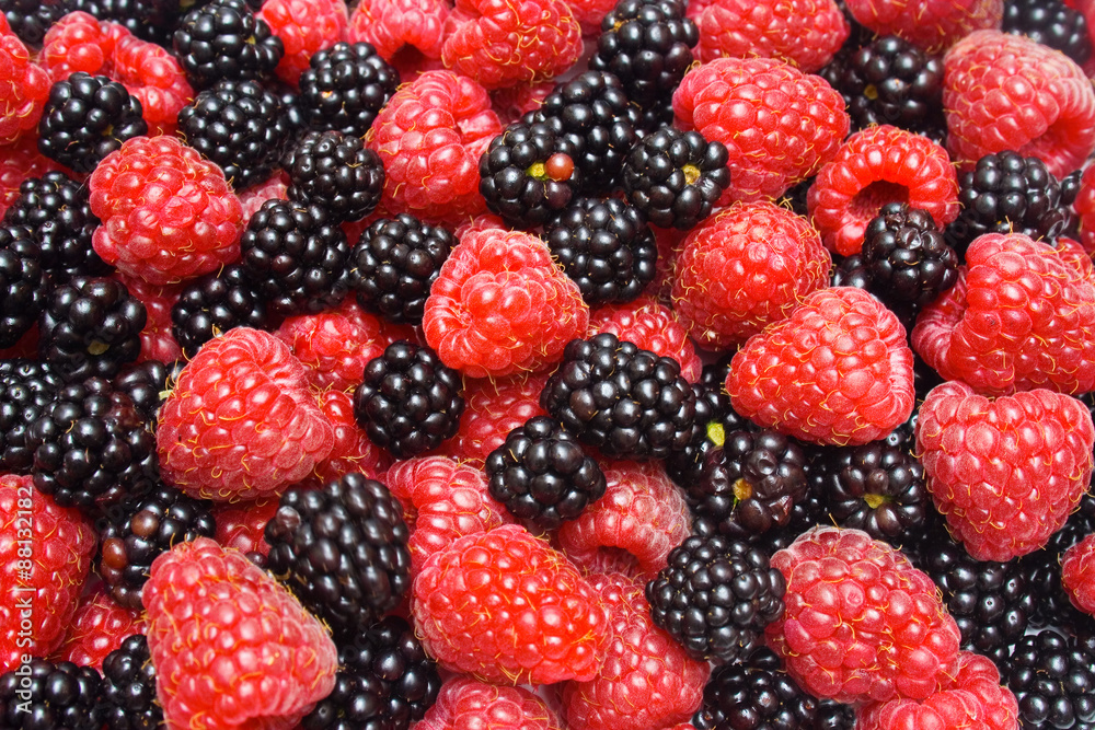 Red ripe berry and fresh blackberry Red ripe berry and fresh blackberry