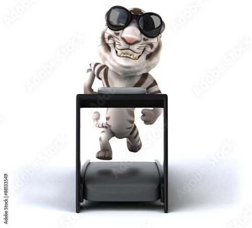 Fototapeta Naklejka Na Ścianę i Meble -  Fun tiger