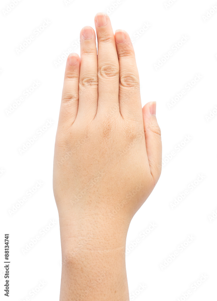 Female hand with five finger on isolated background. Female hand with five finger on isolated background.