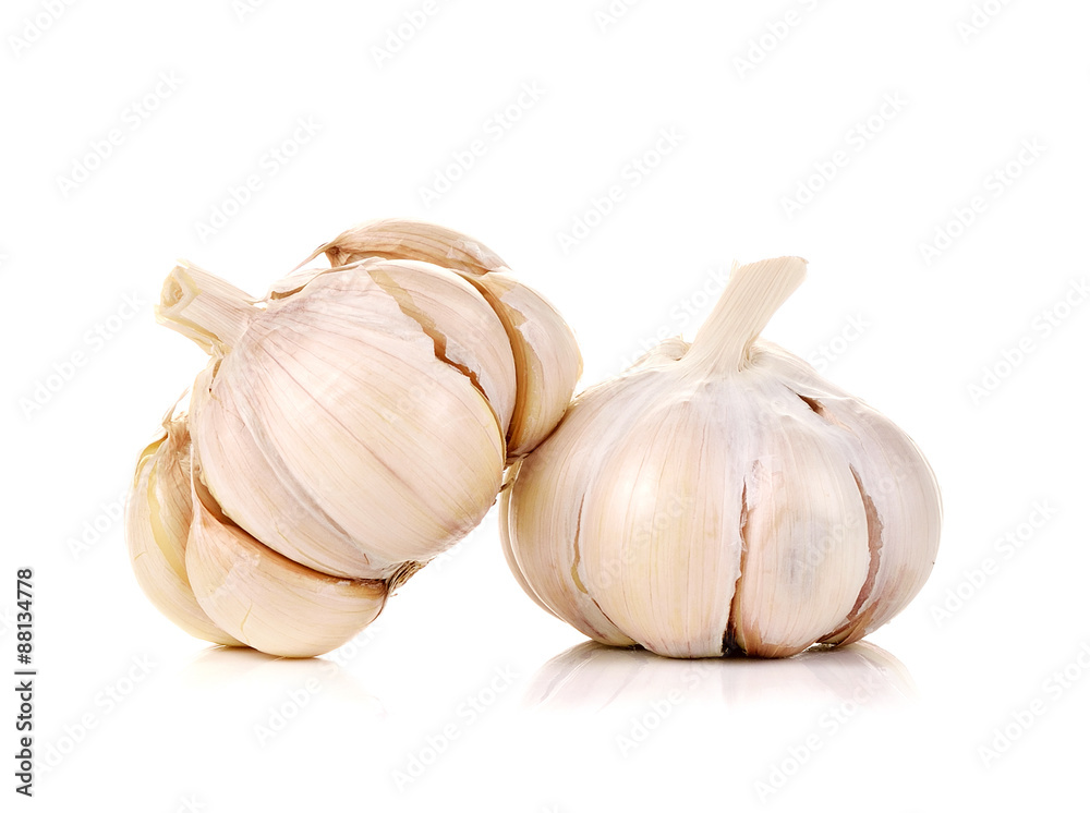 garlic isolated on white background garlic isolated on white background