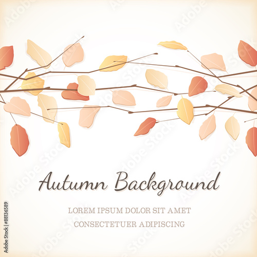 Elegant Background with Autumn Leaves at the Top