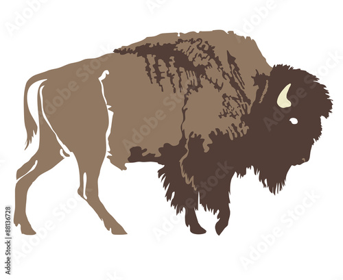 Buffalo. Hand-drawn illustration. Design for logo, t shirt, bag etc.