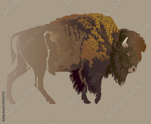 Buffalo. Hand-drawn illustration. Design for logo, t shirt, bag etc.