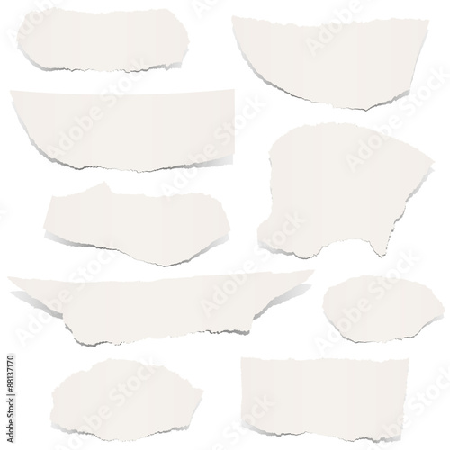 scraps of papers