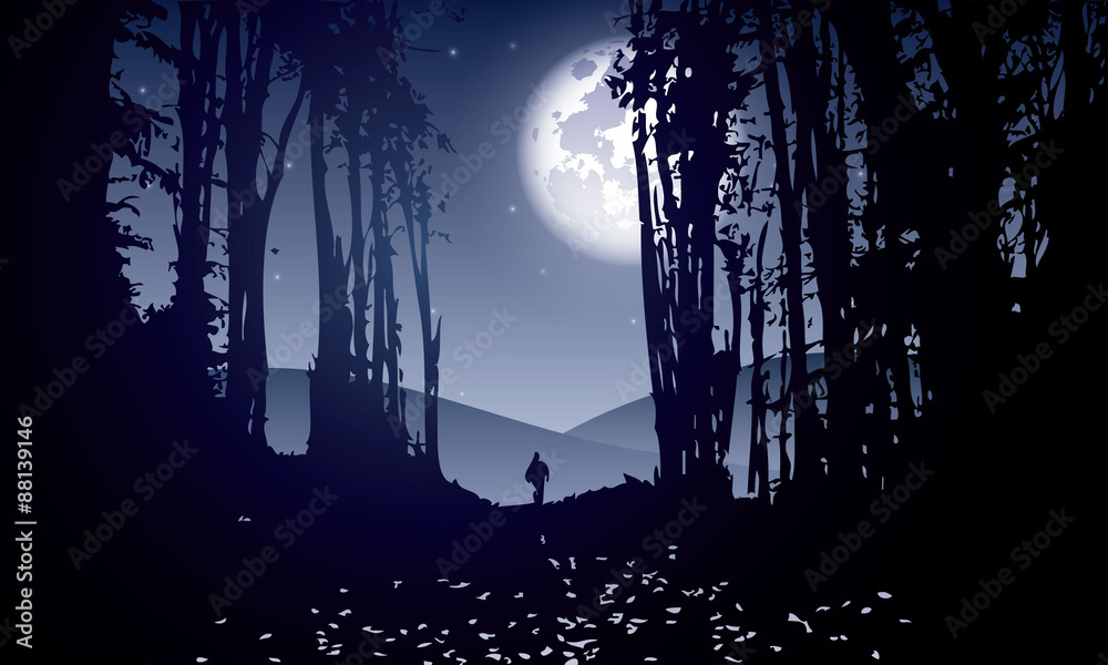 Fototapeta premium dark forest with man walking at moonlight