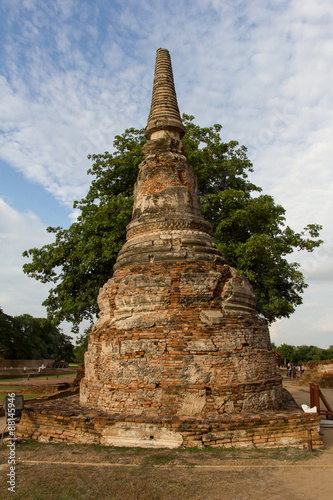 Tree behind pagoda