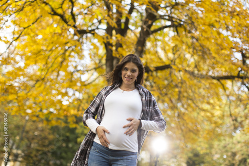 Fototapeta Naklejka Na Ścianę i Meble -  Pregnant woman in the autumn park