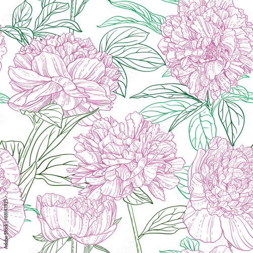 Seamless pattern of pink peonies graphics