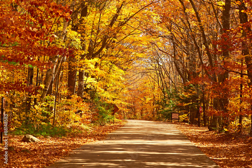 Autumn scene with road