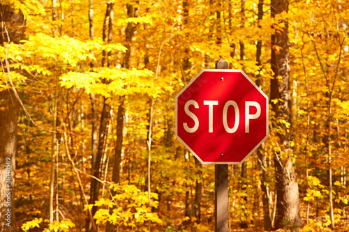 Autumn scene with road and stop sign photo