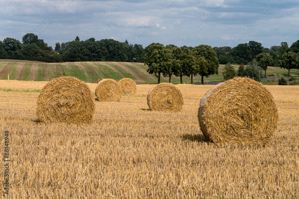 Feld mit Strohballen - Märkische Schweiz