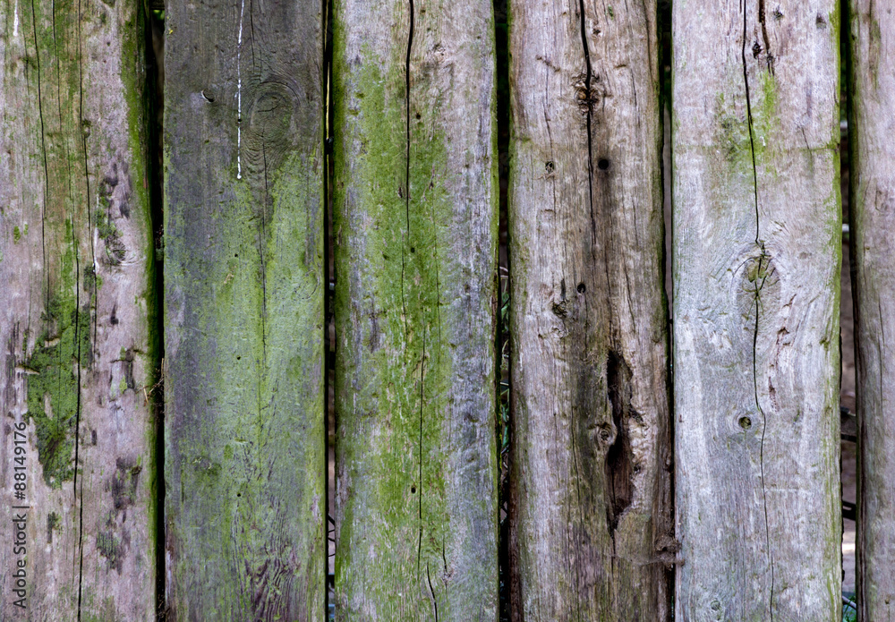 Obraz premium Holzbalken Textur