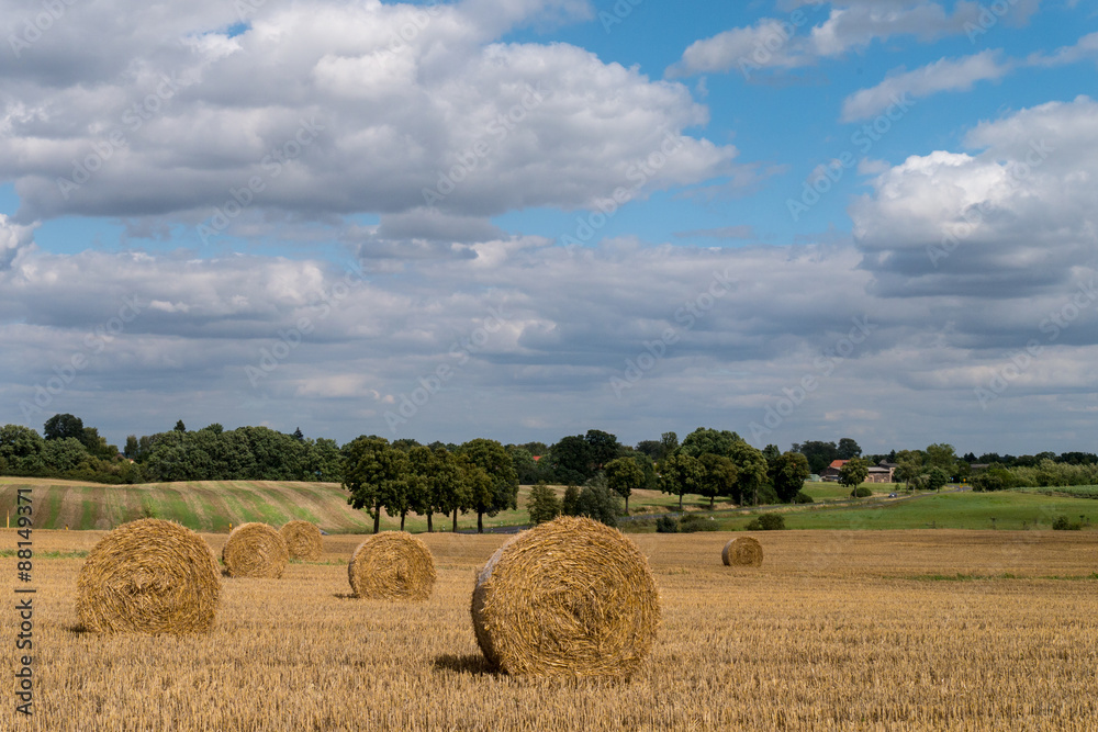 Feld mit Strohballen - Märkische Schweiz