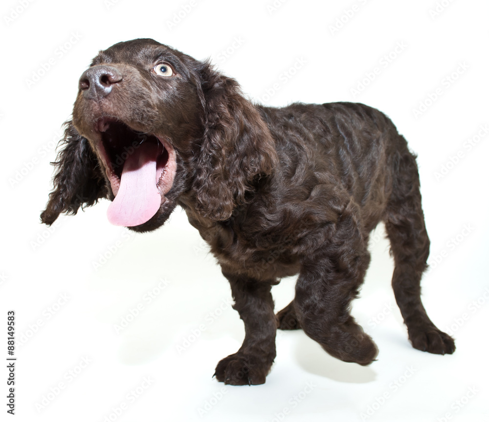 Open Wide!!! Open Wide!!!