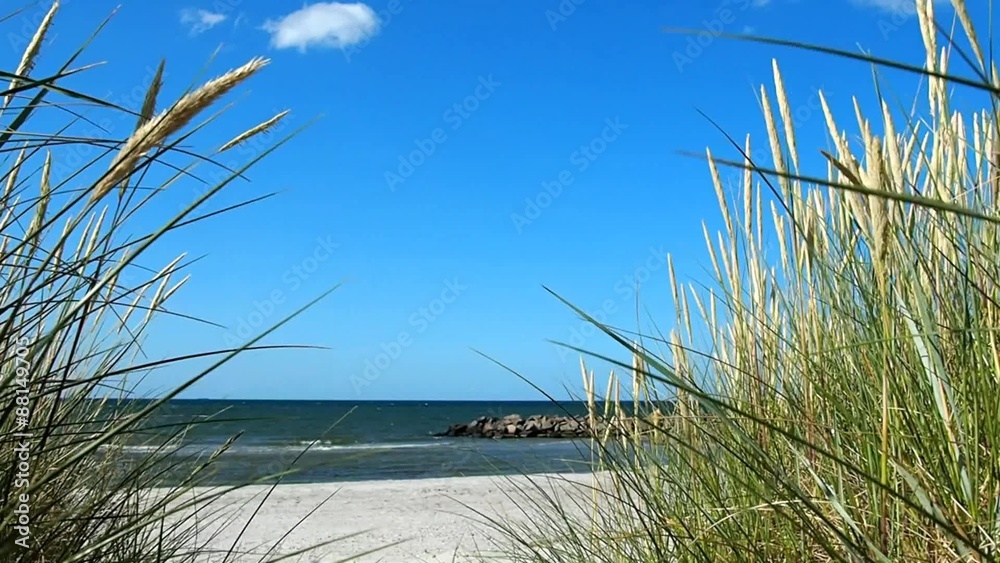 Ostseeküste im Sommer