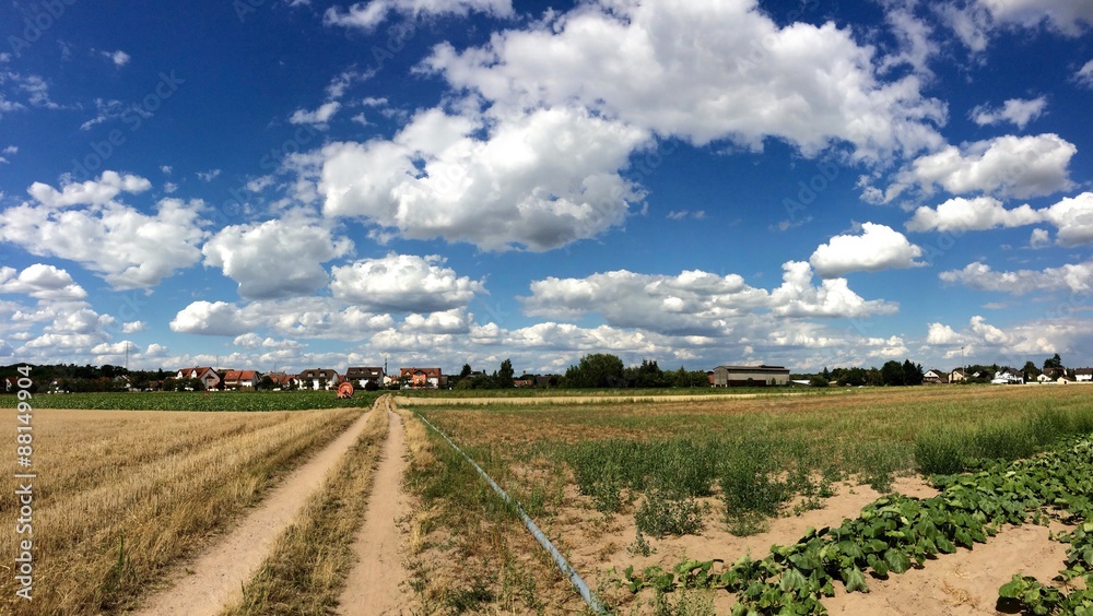 Landscape and cloudy sky