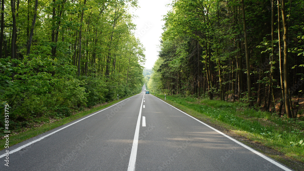 Straße durch einen Laubwald/Lange, gerade Straße durch einen Wald im Erzgebirge in Sachsen, zweispurige Asphaltstraße mit Markierung