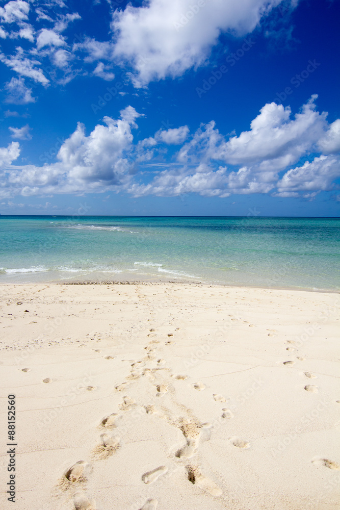 Fototapeta premium Paradis perdu