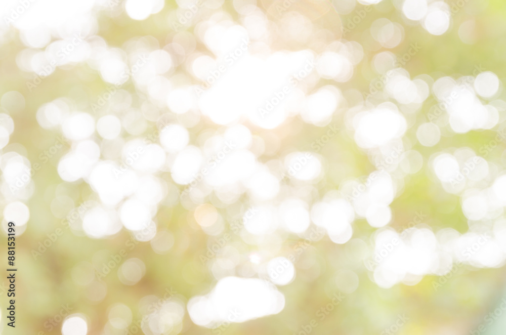 Obraz premium bokeh abstract light and blur backgrounds