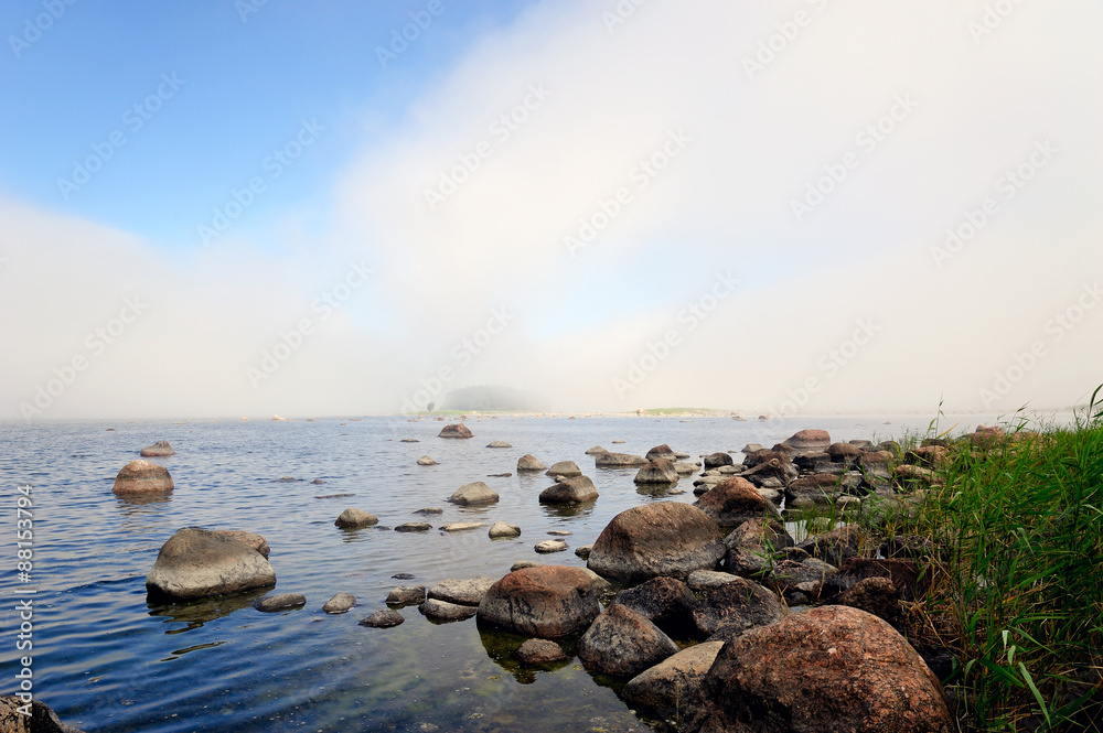 Fototapeta premium Ostseeküste im Lahemaa Nationalpark / Estland 