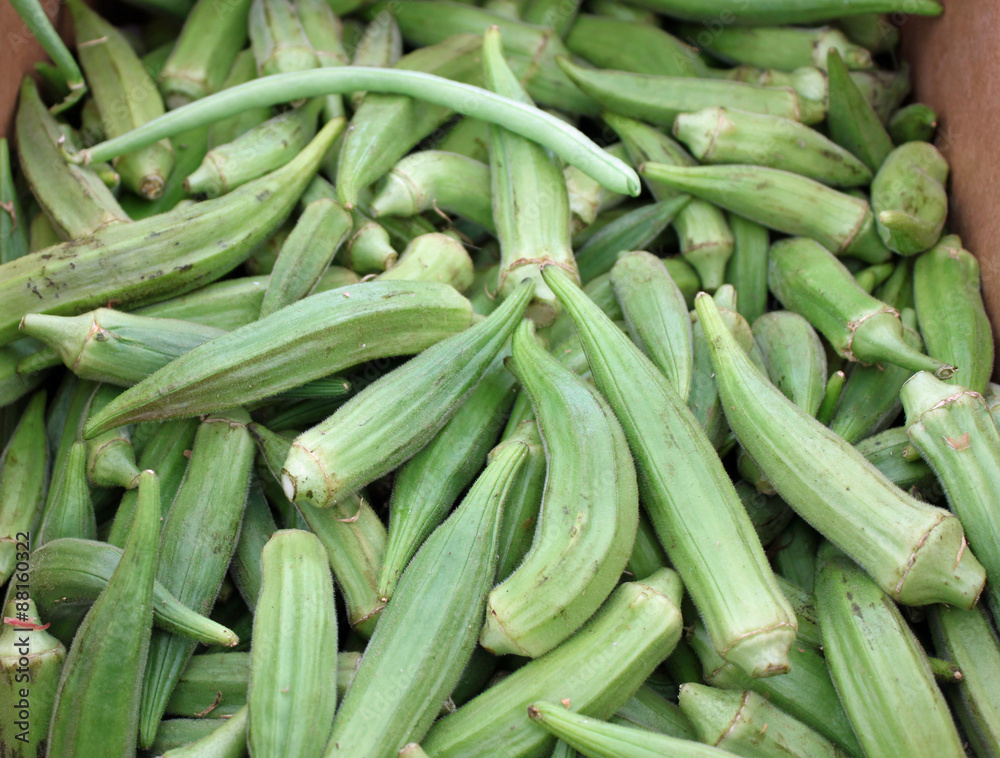 Closeup of Okra at the Farmers' Market Closeup of Okra at the Farmers' Market