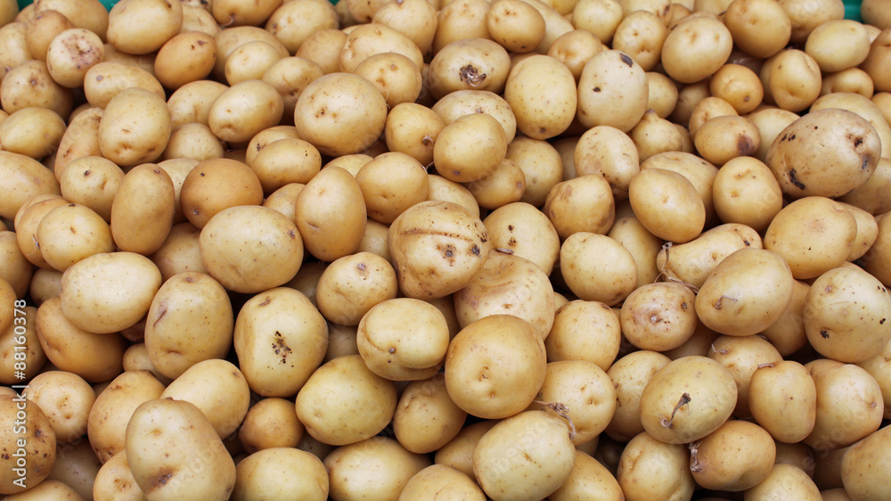 Golden Baby Potatoes at the Farmers' Market Golden Baby Potatoes at the Farmers' Market
