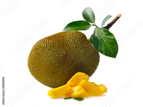 Jackfruit isolated on white background