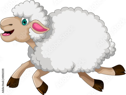 funny sheep running cartoon 