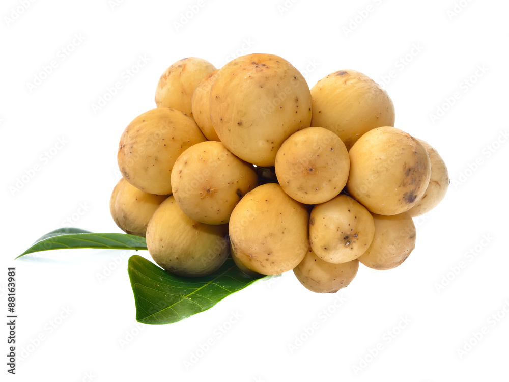 Bunch of Lanzones fruit isolated on white background Bunch of Lanzones fruit isolated on white background