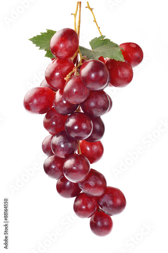 Red grape with leaf isolated on white background