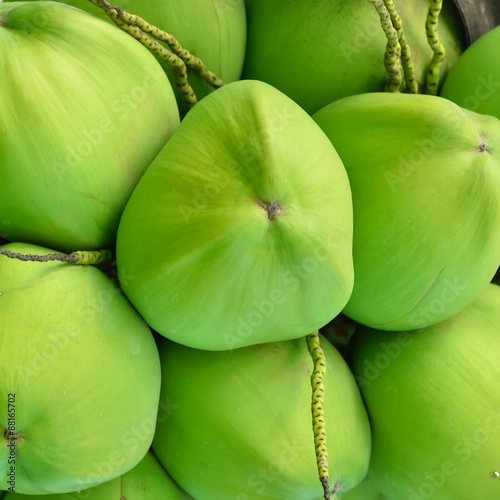 green coconut at tree