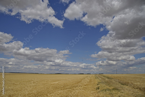 après la moisson photo