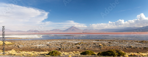 Laguna Colorada, Bolivia . Fenicotteri, vulcano, e cielo blu con nuvole bianche all'orizzonte