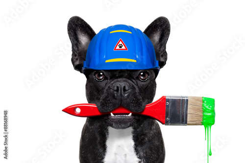handyman painter   dog © Javier brosch