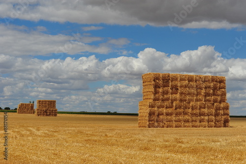 meules de foin photo