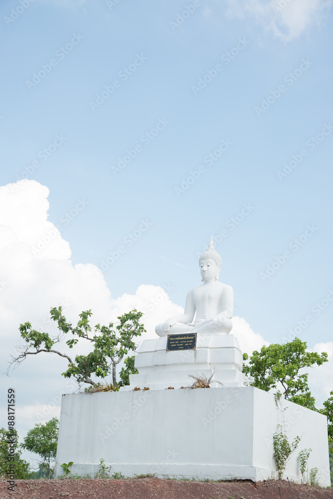White buddha statue on mountain.