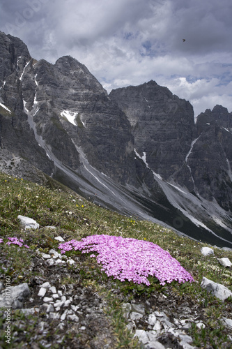 kalkkogel photo