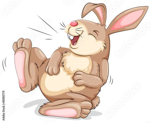 Rabbit