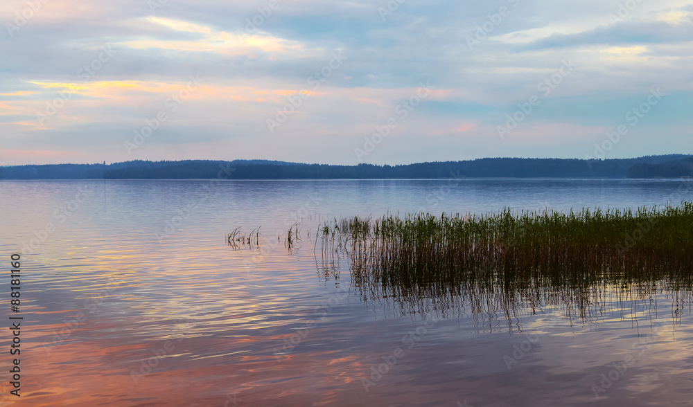 Evening landscape at the lake